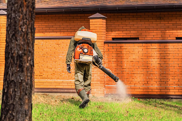 Trusted Bed Bug Control service in Greene, IA - Nex Pest Control